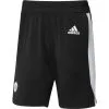 ADIDAS Primeblue Shorts