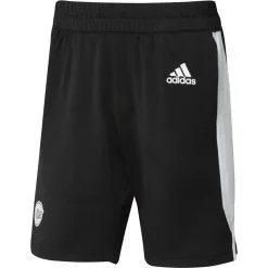 ADIDAS Primeblue Shorts